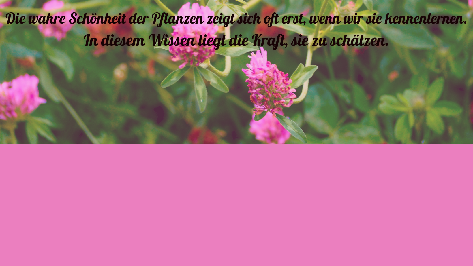 Layout::Header